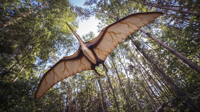 letící pterodaktyl